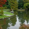 Japánkert őszi színekben (1)