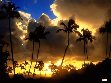 Kapaa Sunrise, Kauai, Haw