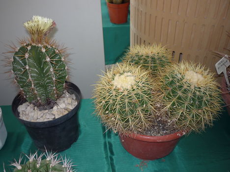 P1090732