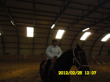 SAM_0533