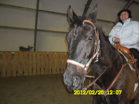 SAM_0534