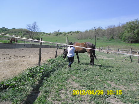 SAM_0580