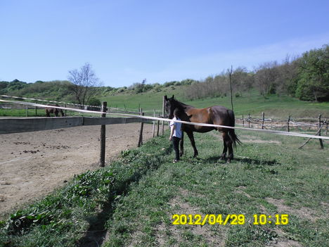 SAM_0581
