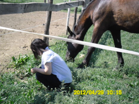 SAM_0582
