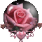 14331