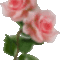 19039