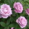 2004_0711Image0055