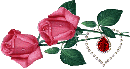 2_szal_piros_rozsa_704916_58039_n