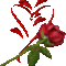 7051