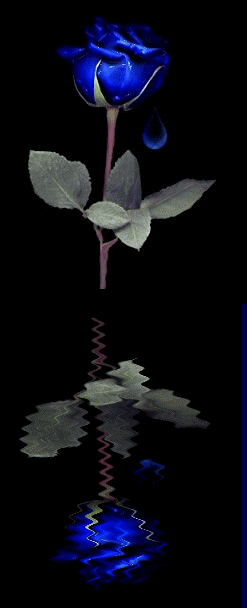 8276