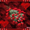 acsokora_694115_84880_n