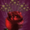 Animation26