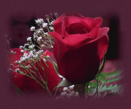 csodas_hetveget_419957_68616_n