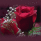 csodas_hetveget_419957_68616_n