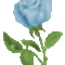 d59