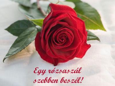 egy_rozsaszal__635600_85474_n