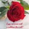 egy_rozsaszal__635600_85474_n