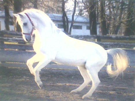 Fényképek-0068