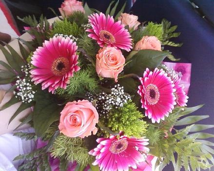 gerbera_268266_55539_n