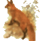 image907