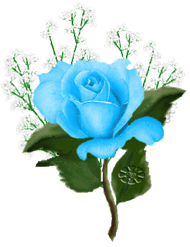 kek_rozsa_704948_29150_n