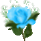 kek_rozsa_704948_29150_n