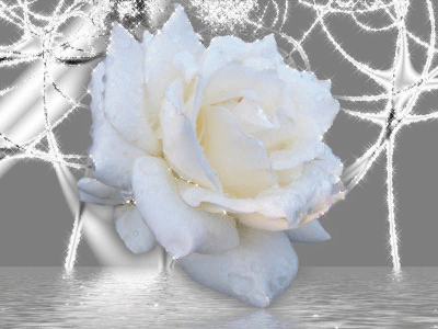 rozsa_803572_83944_n