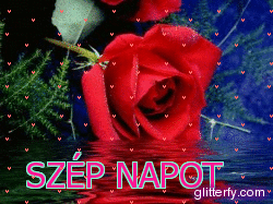 szep_napot-002_261481_17171_n