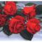 szeretem_a_viragokatde_kedvencem_a_rozsa_490784_22045_n