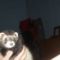user_11652183_1295274696936_tn2