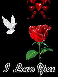 valentin_41_880767_45371_n