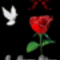 valentin_41_880767_45371_n