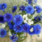 virag_5_1395158_9483_n