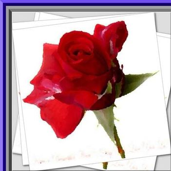 wwwdrpiccom_612228_88945_n