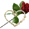 1540301nank7g4h7x