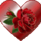 2300108ifxcldrewd