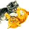279954_74211_n