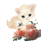 353379_60052_n