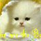 363508_51421_n