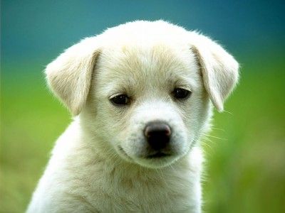 5222