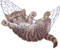 chat_221