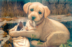 dog1