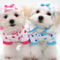 dog-clothes