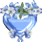 gyujtemeny_21-001_635110_33328_n