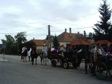 IMAG0033