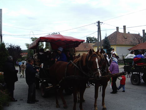 IMAG0039