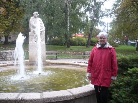 Kaposvár 2012 okt 12