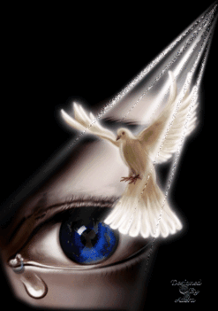 konnycsepp_697756_39537_n