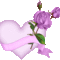lila_rozsas_635148_57553_n
