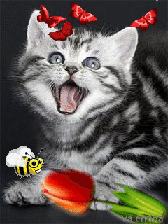 valentin_22_880748_92115_n